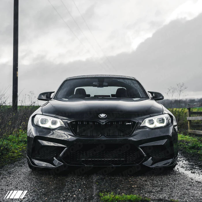 Carbon Fibre Performance Front Blades for BMW M2 (2015-2018, F87) - Reinhart Autohaus