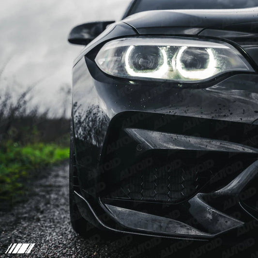 Carbon Fibre Performance Front Blades for BMW M2 (2015-2018, F87) - Reinhart Autohaus