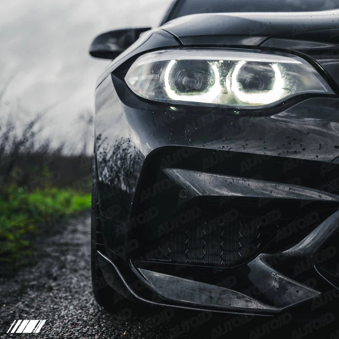 Carbon Fibre Performance Front Blades for BMW M2 (2015-2018, F87) - Reinhart Autohaus
