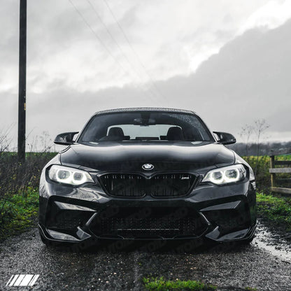 Carbon Fibre Performance Front Blades for BMW M2 (2015-2018, F87) - Reinhart Autohaus