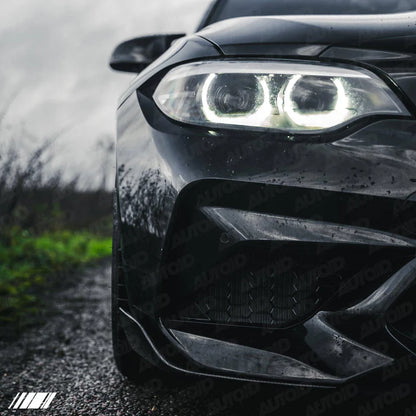 Carbon Fibre Performance Front Blades for BMW M2 (2015-2018, F87) - Reinhart Autohaus